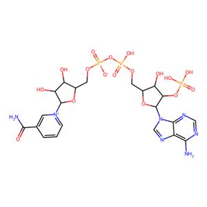 aladdin 阿拉丁 N101669 β-烟酰胺腺嘌呤二核苷酸磷酸(NADP)水合物 53-59-8 95%