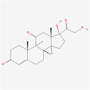 aladdin 阿拉丁 C424546 可的松 53-06-5 10mM in DMSO