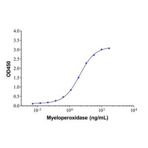 aladdin 阿拉丁 Ab005457 Myeloperoxidase Mouse mAb mAb(2C1-8); Mouse anti Human Myeloperoxidase Antibody; Detection Antibody, ELISA, CLIA, LF, GICA, FIA, LETIA; Unconjugated