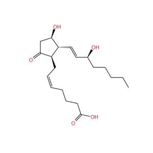 地诺前列酮（前列腺素E2）