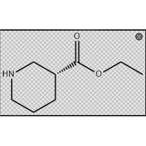 Ethyl (R)-nipecotate