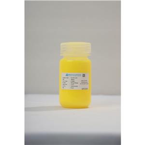 羧基修饰的200nm黄色荧光微球/荧光免疫层析/聚苯乙烯微球
