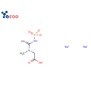 磷酸肌酸二钠盐 922-32-7