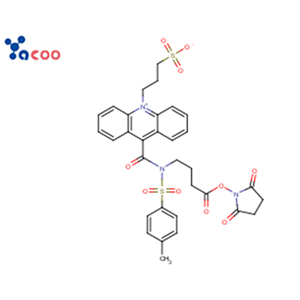 吖啶盐(NSP-SA-NHS) 199293-83-9