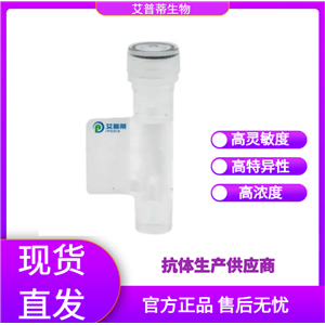 MAG蛋白抗体；MAG antibody  艾普蒂生物         