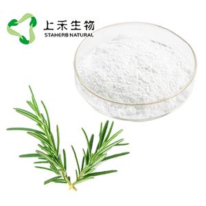 迷迭香提取物, 天然抗氧化剂，迷迭香酸，鼠尾草酸，熊果酸，Rosemary Herb Extract