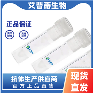 VHL蛋白抗体；VHL antibody 艾普蒂生物       