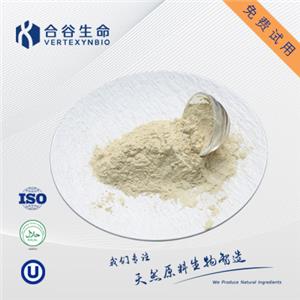 生物发酵法合成99% 咖啡酸淡黄色粉末