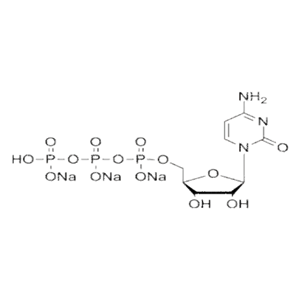 核苷酸CTP