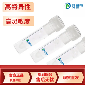 AQP2抗体；AQP2 antibody 艾普蒂生物         