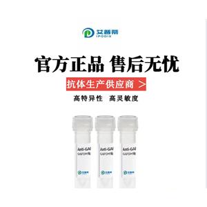 IGFBP3抗体；IGFBP3 antibody 艾普蒂生物        