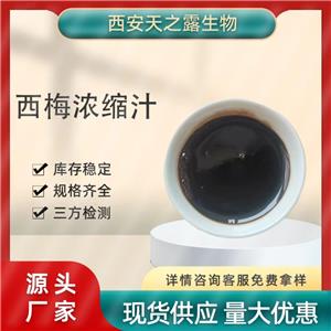 智利西梅浓缩汁原料工厂 6倍浓缩西梅汁糖度≥70 现货西梅汁量大优惠