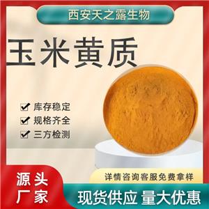 厂家直供 玉米黄质5% 10%玉米黄素万寿菊提取 水溶玉米黄质144-68-3