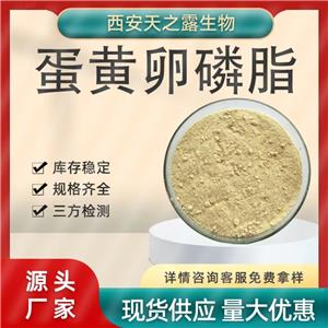 厂家直销 蛋黄卵磷脂 磷脂酰胆碱 蛋黄提取物 食品级原料 现货