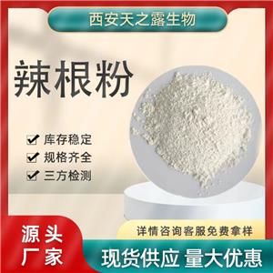 辣根粉99% 辣根提取 食品级辣根素浓缩速溶粉 调味品原料厂家现货