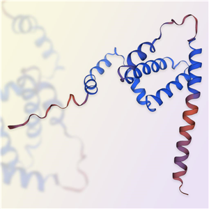 重组人IFN-γ蛋白-ACROBiosystems百普赛斯