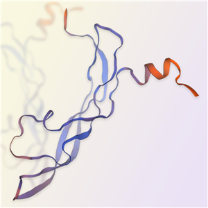 VEGF121重组蛋白，ACROBiosystems百普赛斯