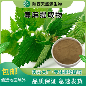 有机荨麻提取物 无农残荨麻粉 荨麻根提取物 天盛源生物