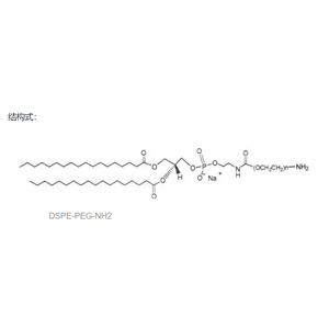 DSPE-PEG-NH2   分子量：1k，2k，3.4k，5k，10k，20k（可定制）