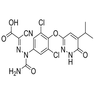 瑞司美替罗杂质E