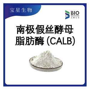 南极假丝酵母脂肪酶B（CALB，固定化酶）