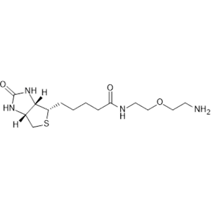 Biotin-PEG1-CH2CH2NH2