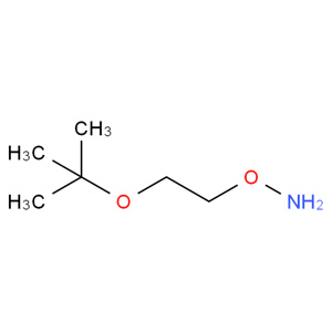 O-(2-叔丁氧基乙基)羟胺