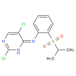 2,5-二氯-N-[2-(异丙基磺酰)苯基]嘧啶-4-胺